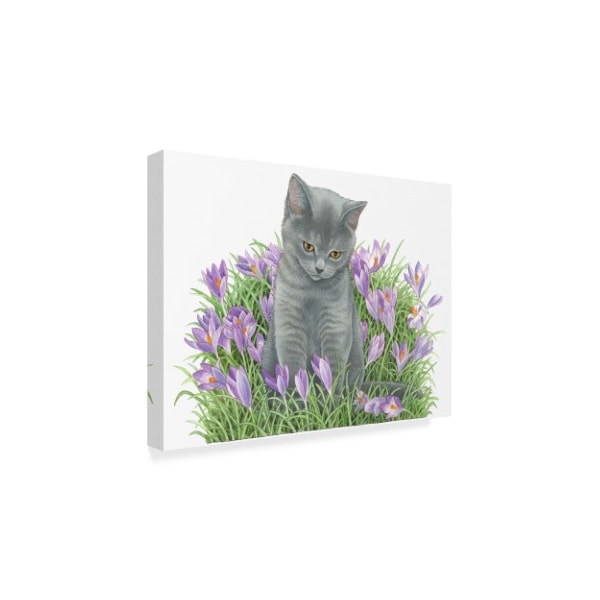 Francien Van Westering 'Gray Cat In Flowers' Canvas Art,14x19